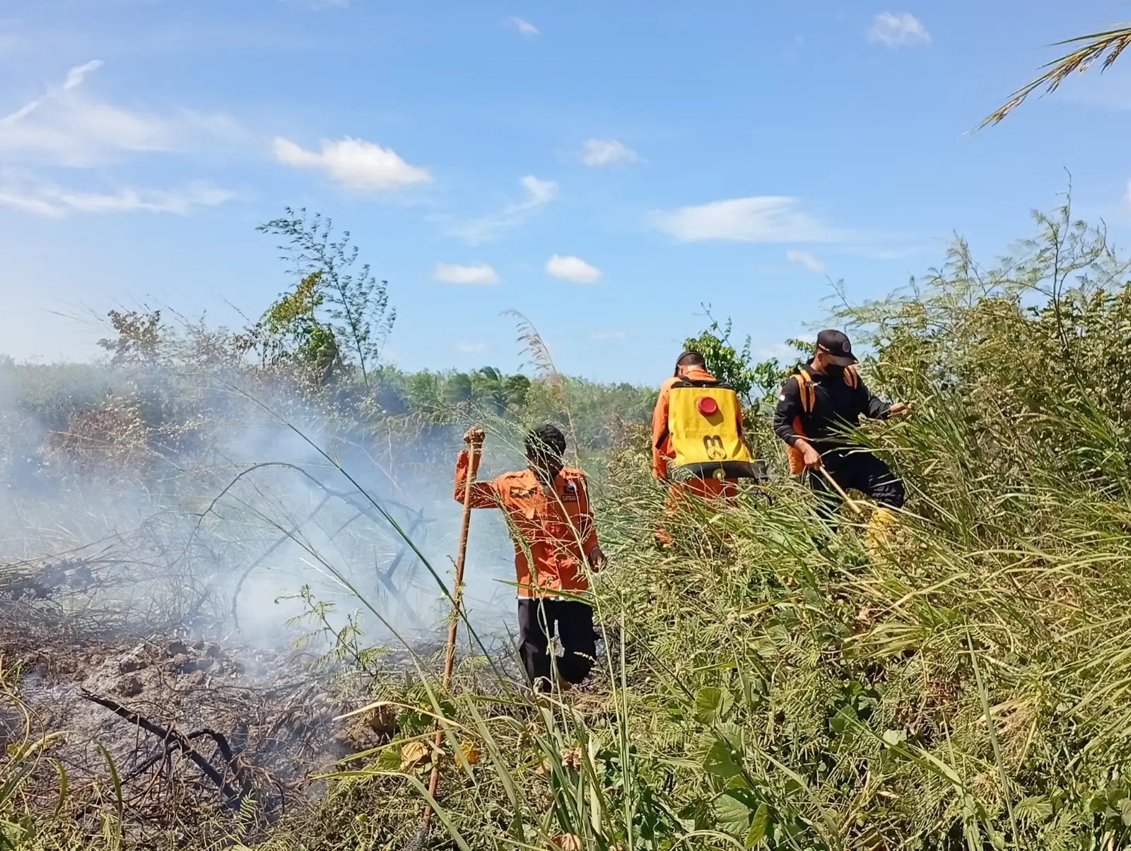 Perkembangan Situasi dan Penanganan Bencana 11 Juli 2025, Karhutla Mendominasi